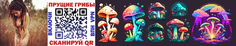 купить наркотики цена  kraken онион  Галлюциногенные грибы Psilocybe  Дыгулыбгей 